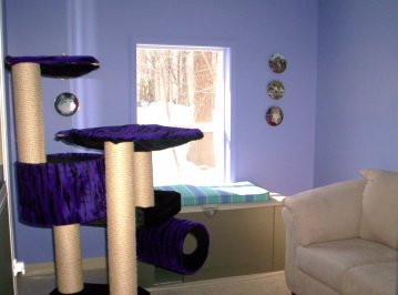 Private room with a cat tree and window seat at Casey's Place